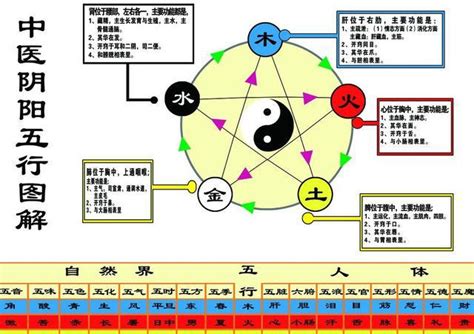 金融五行属什么|金融行业五行属什么？